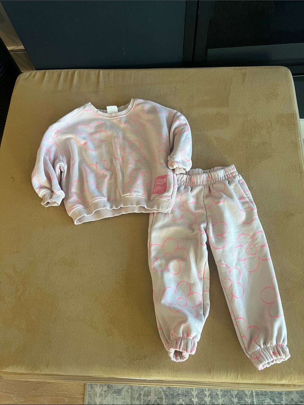Zara Light Pink Sweatshirt and Sweatpants Set 2T